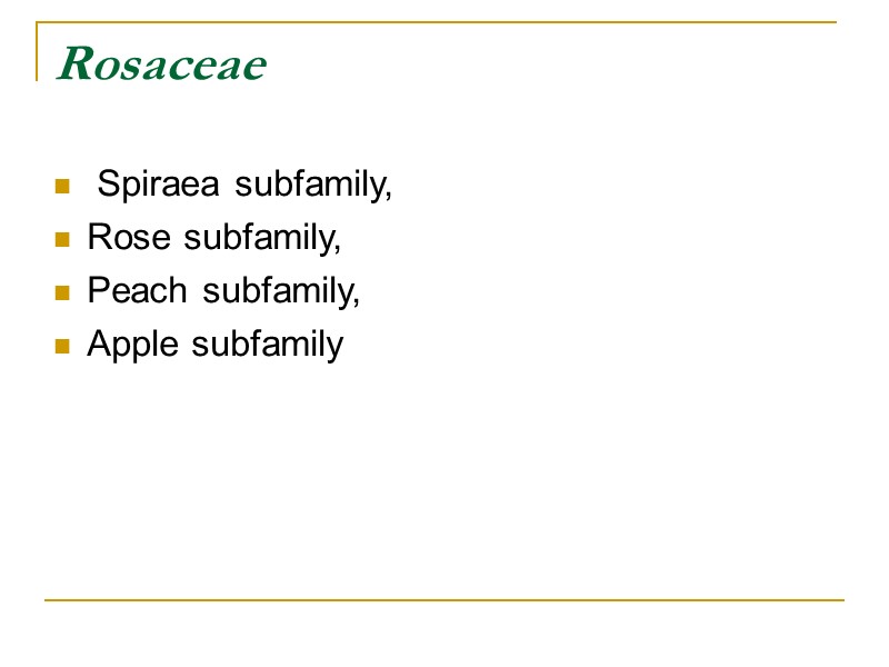 Rosaceae   Spiraea subfamily,  Rose subfamily,  Peach subfamily,  Apple subfamily